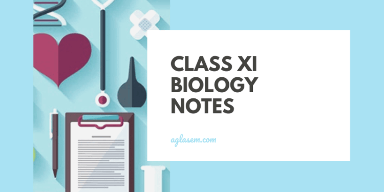 class 11 biology notes