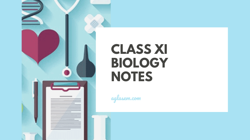 Periodic Chapter Class 11 Notes Class 11 Biology Notes for Anatomy of Flowering Plants (PDF) - Study ...