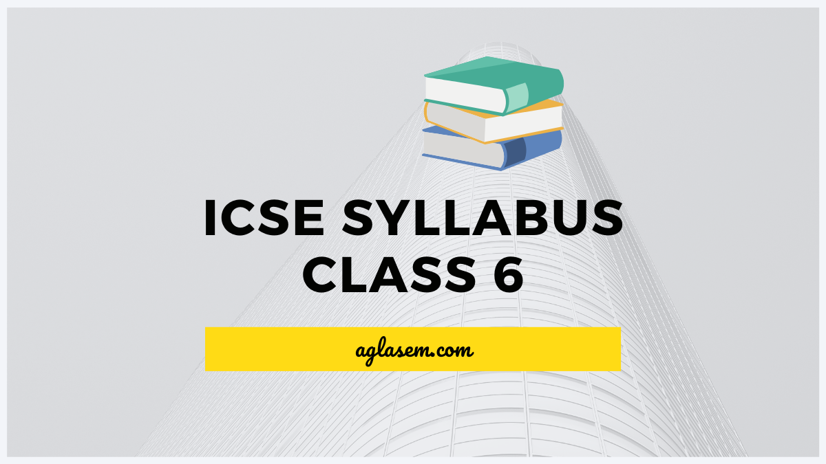ICSE Class 6 Computer Studies Syllabus