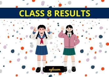 Class 8 Result