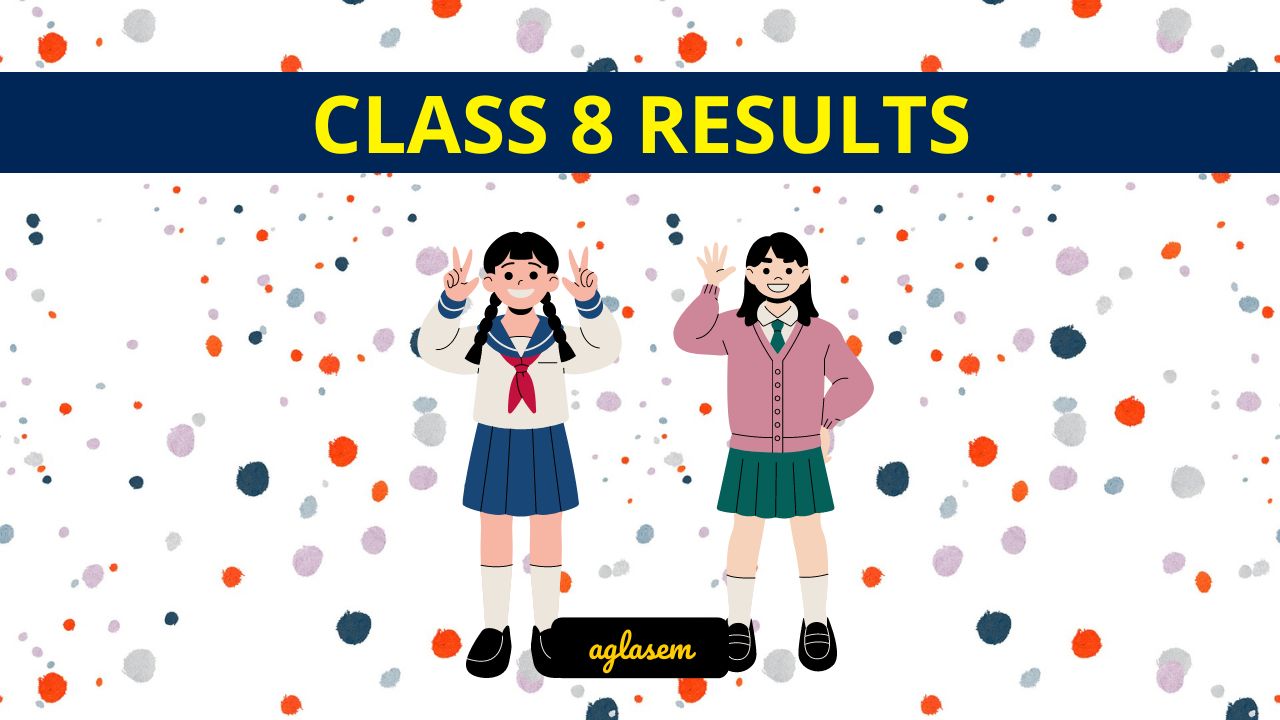 Class 8 Result