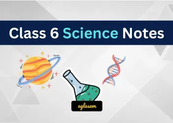 Class 6 Science Notes