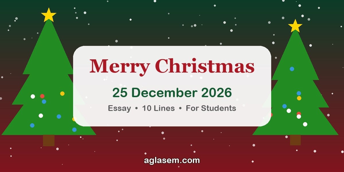 Christmas Essay 2026